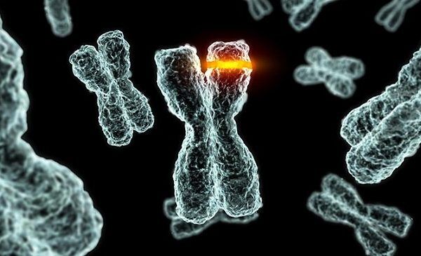 Mutations and Autism