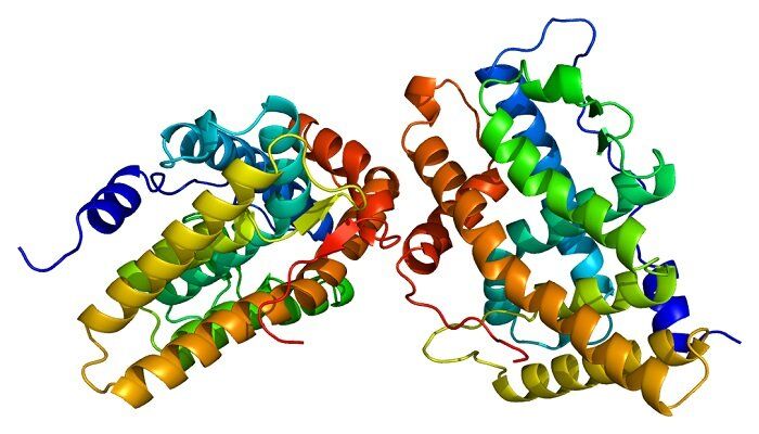 Autism and UBE3A Gene