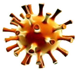 Autism and Genital Herpes